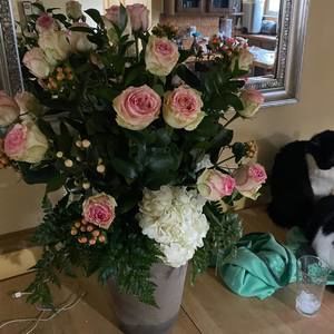 Meet your Posher, Tracy